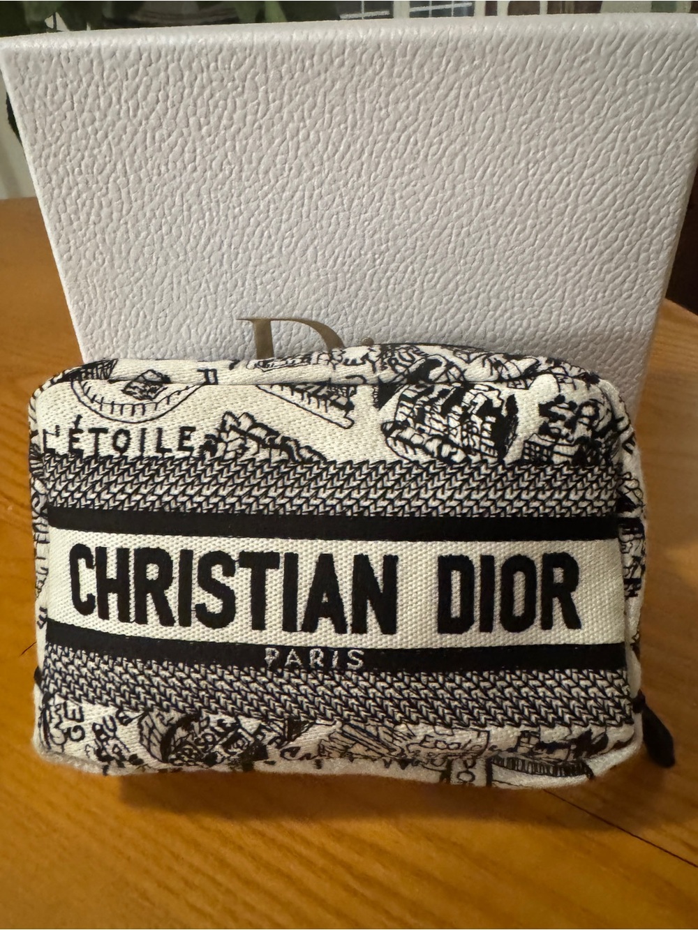 Christian Dior Caro Plan de Paris Clutch with Dior Box